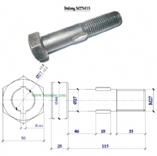 Bu lông ngạnh M27x115